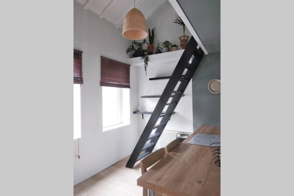 Duplex Cosy Waz'Aime Proximite Commerces Et Metro Cormontaigne Ou Gambetta Daire Lille Dış mekan fotoğraf